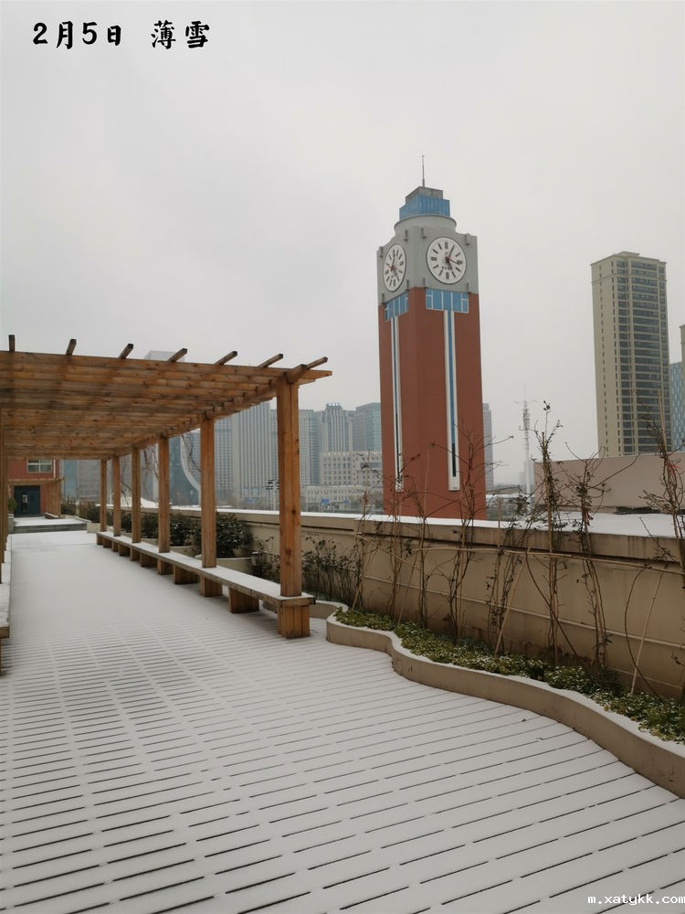 1584691491392751.jpg 1.jpg