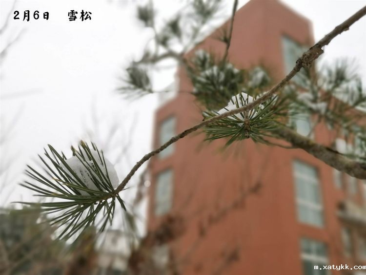 1584691577131565.jpg 2.jpg