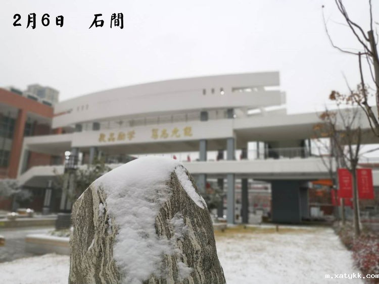 1584691621182282.jpg 3.jpg