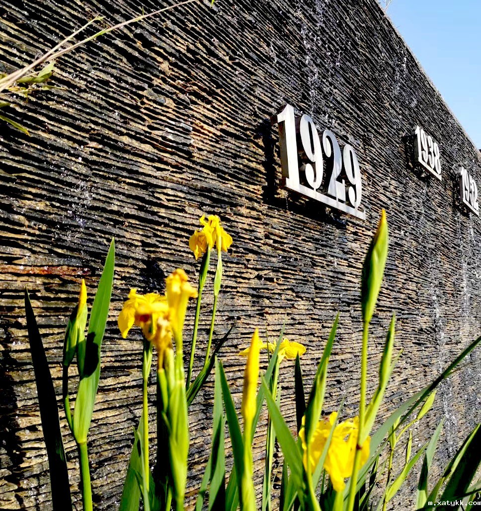 1588238894704430.jpg 微信图片_20200430163957.jpg