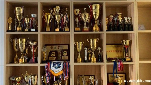 1609406628104825.jpg 体育运动队各项获奖_副本.jpg