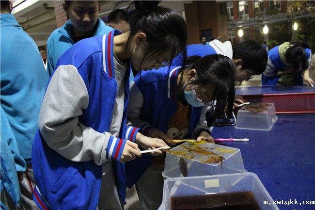 1635733327756412.jpg 10创意化学社:制作叶脉书签.jpg