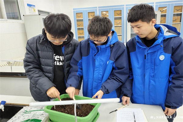 1638786905302599.jpg 8王晓雪、昝玉佳老师课堂上学生开垦《学行农场》.jpg