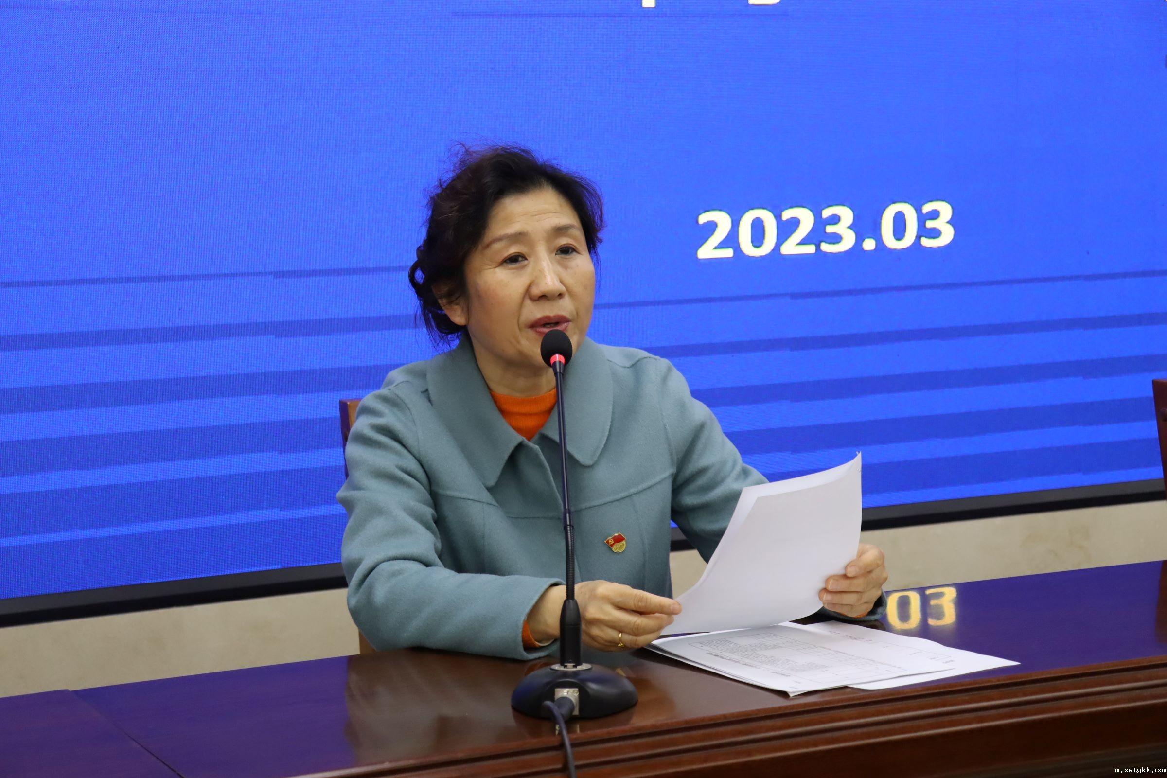 1678269522880344.jpg 3副组长都亚萍同志介绍填表说明.JPG