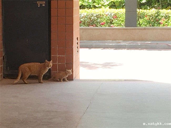 1684889733472488.jpg 6.母子(女)团圆.jpg