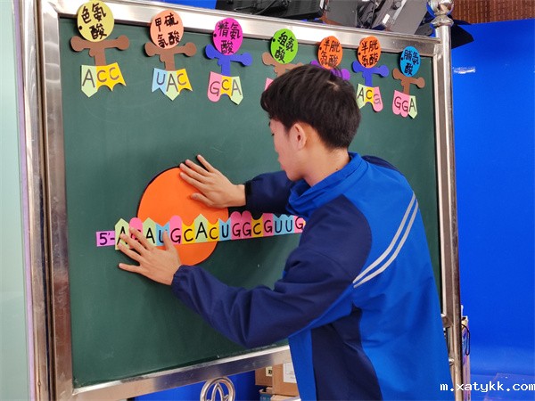 1701159788415428.jpg 2 学生代表上台演示演示“翻译”的过程.jpg