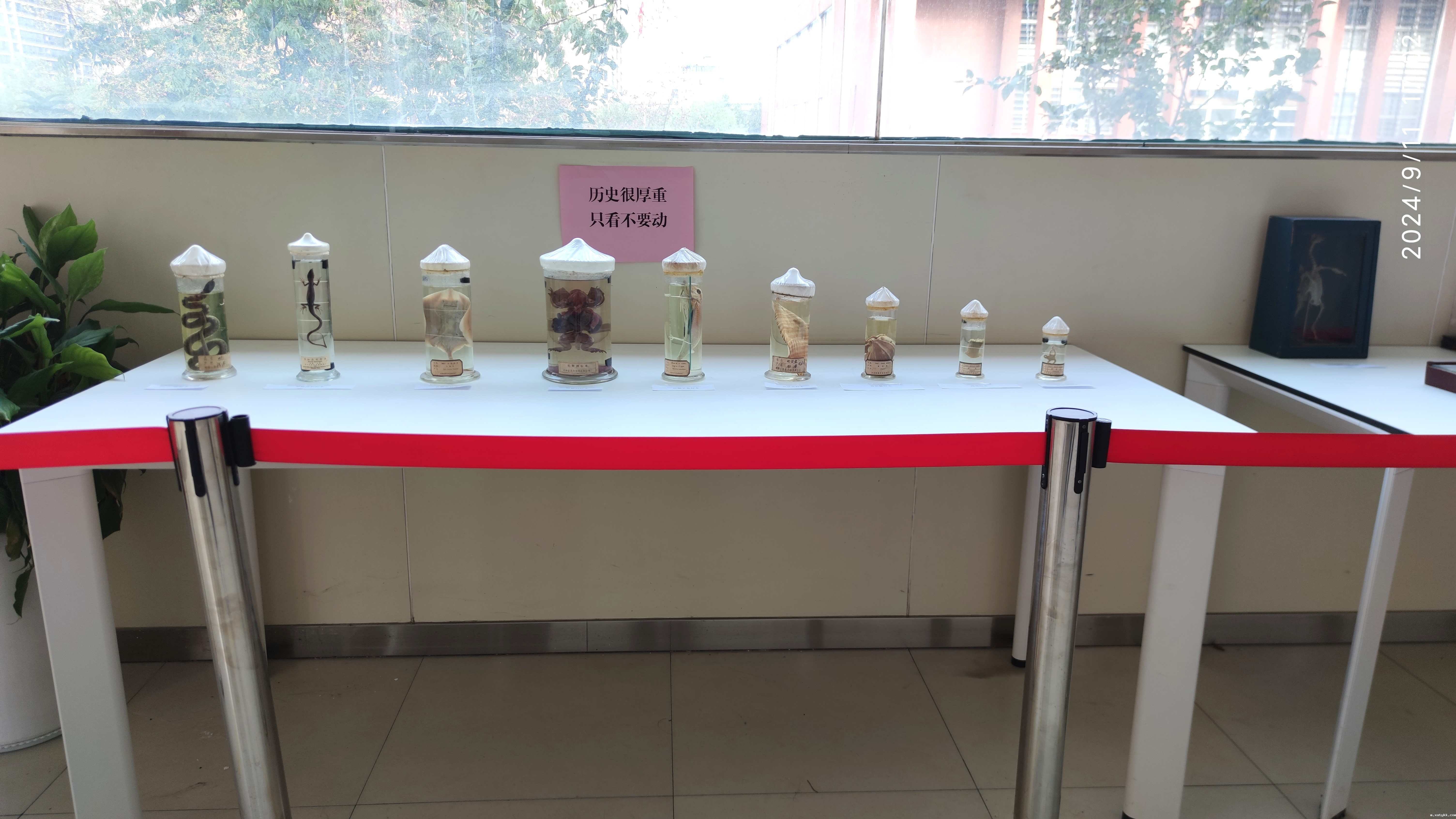 1726110578591170.jpg 8.jpg