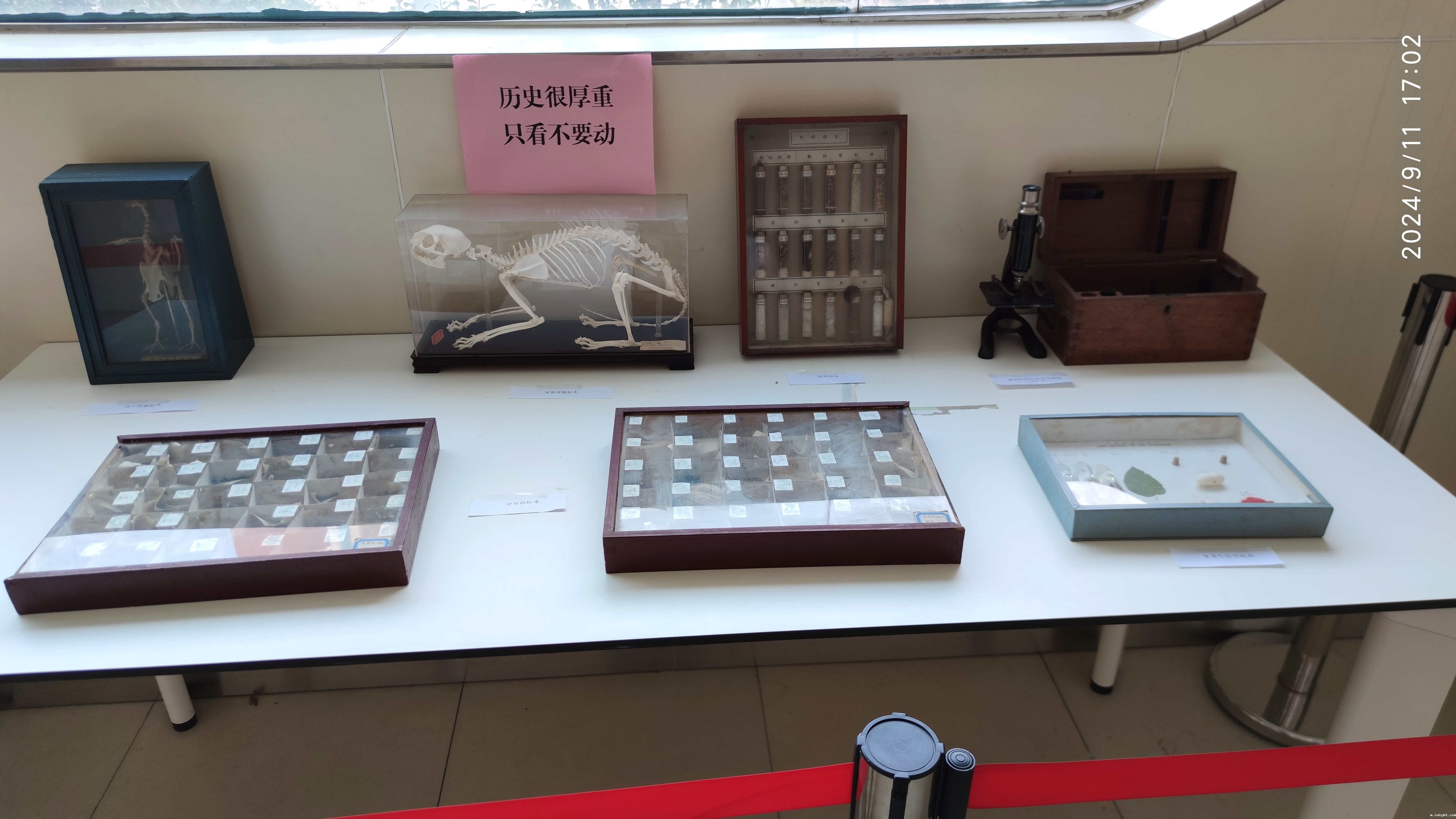 1726110584781543.jpg 9.jpg