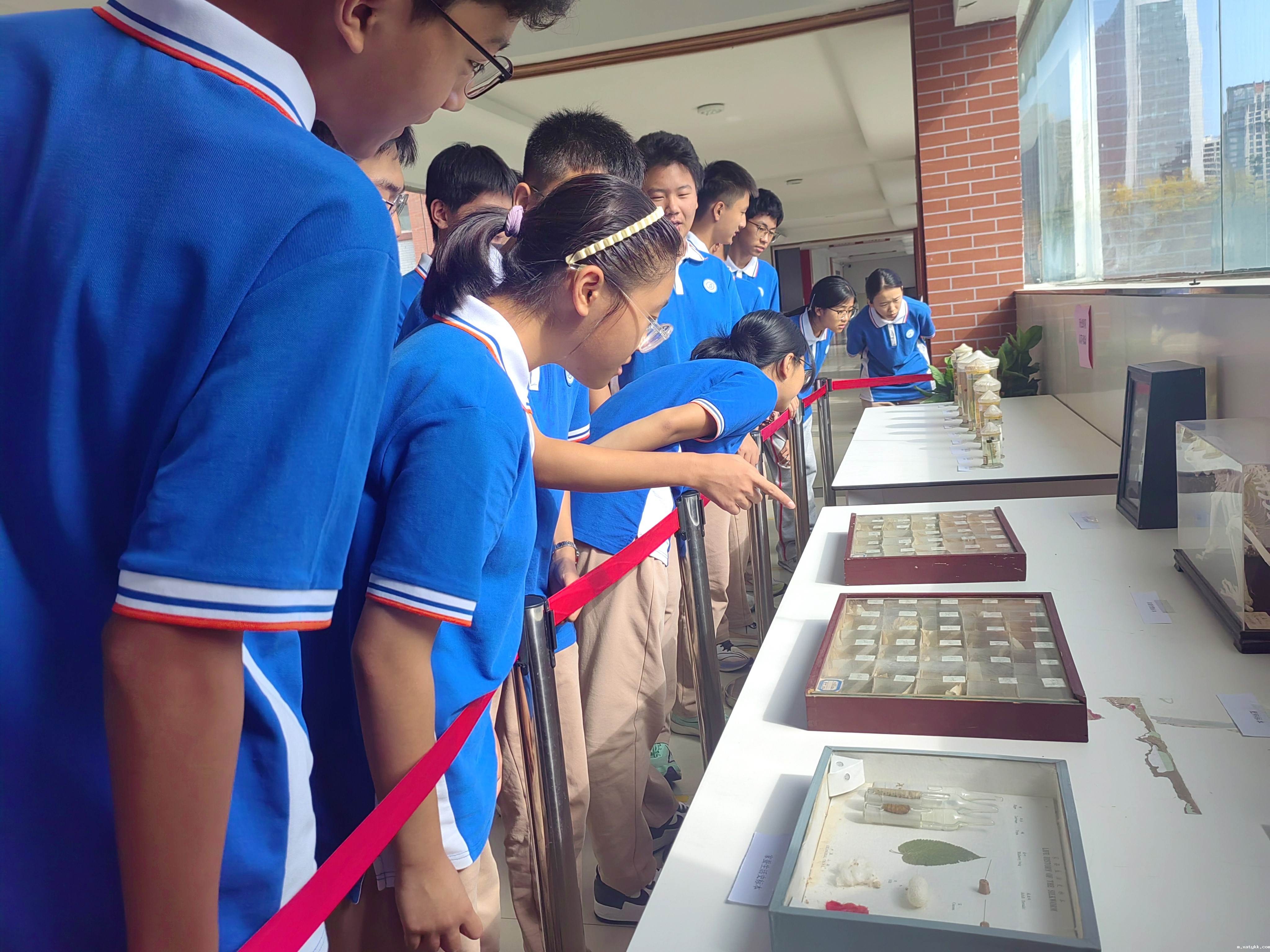 1726110692537079.jpg 3认真观察.jpg