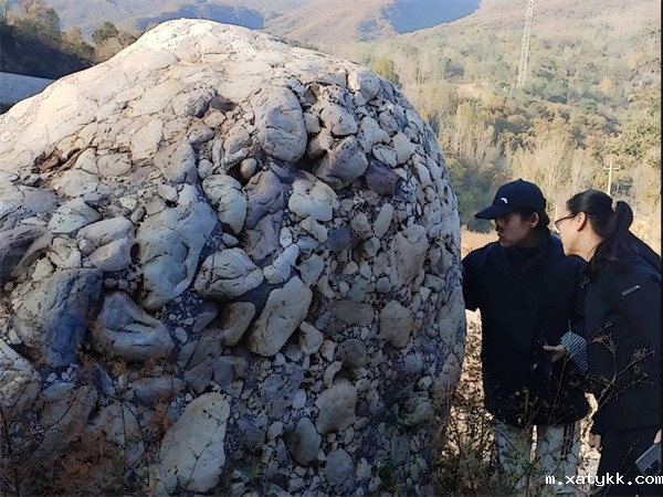 1730794097157066.jpg 6奇石共赏析.jpg