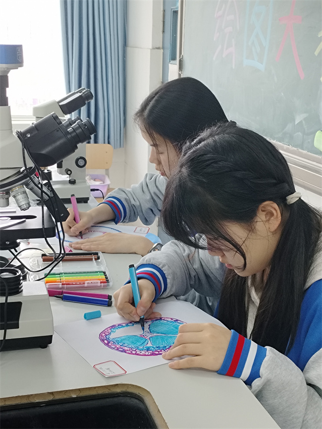 1774493518377732.jpg 3、描画细胞图.jpg